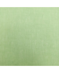 100% in - verde fistic