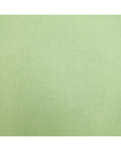 100% in - verde fistic