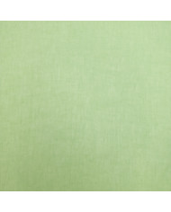 100% in - verde fistic